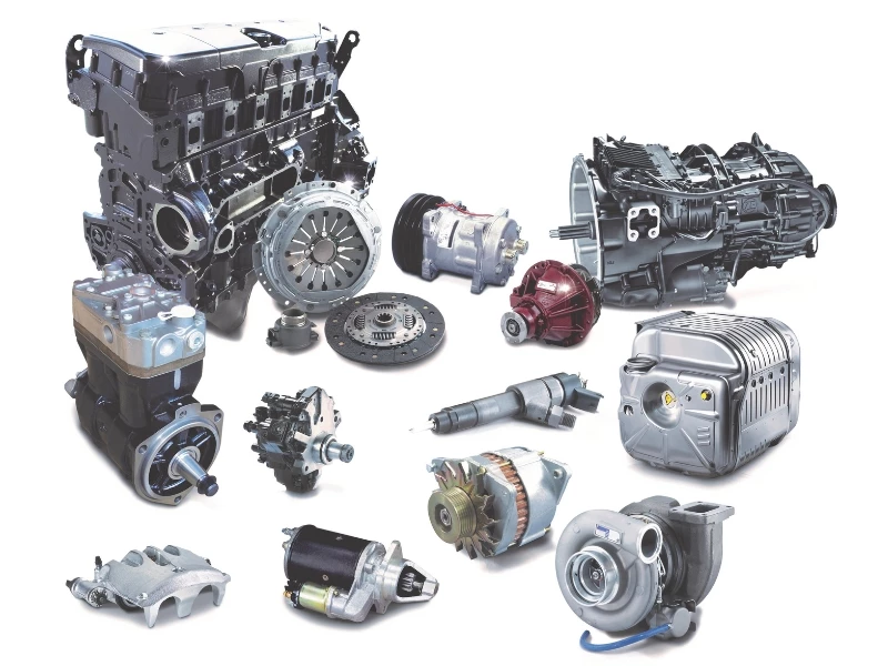 SCOTTI VI 800X600 (1)